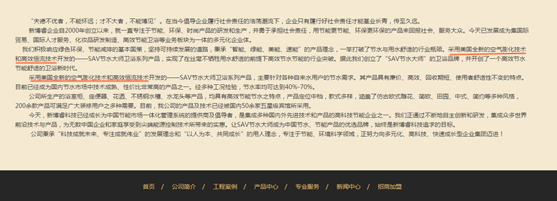 沈阳新博睿公司网站截图